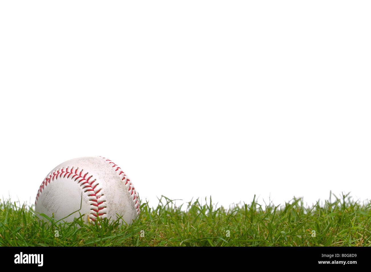 Un base-ball assis dans l'herbe tourné sur un fond blanc. Banque D'Images
