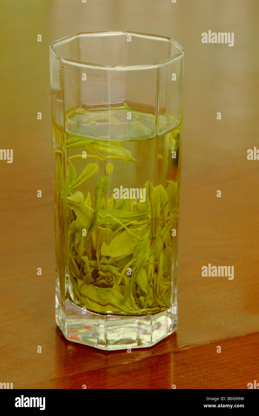 Dans un verre de thé vert Anhui Chine Banque D'Images
