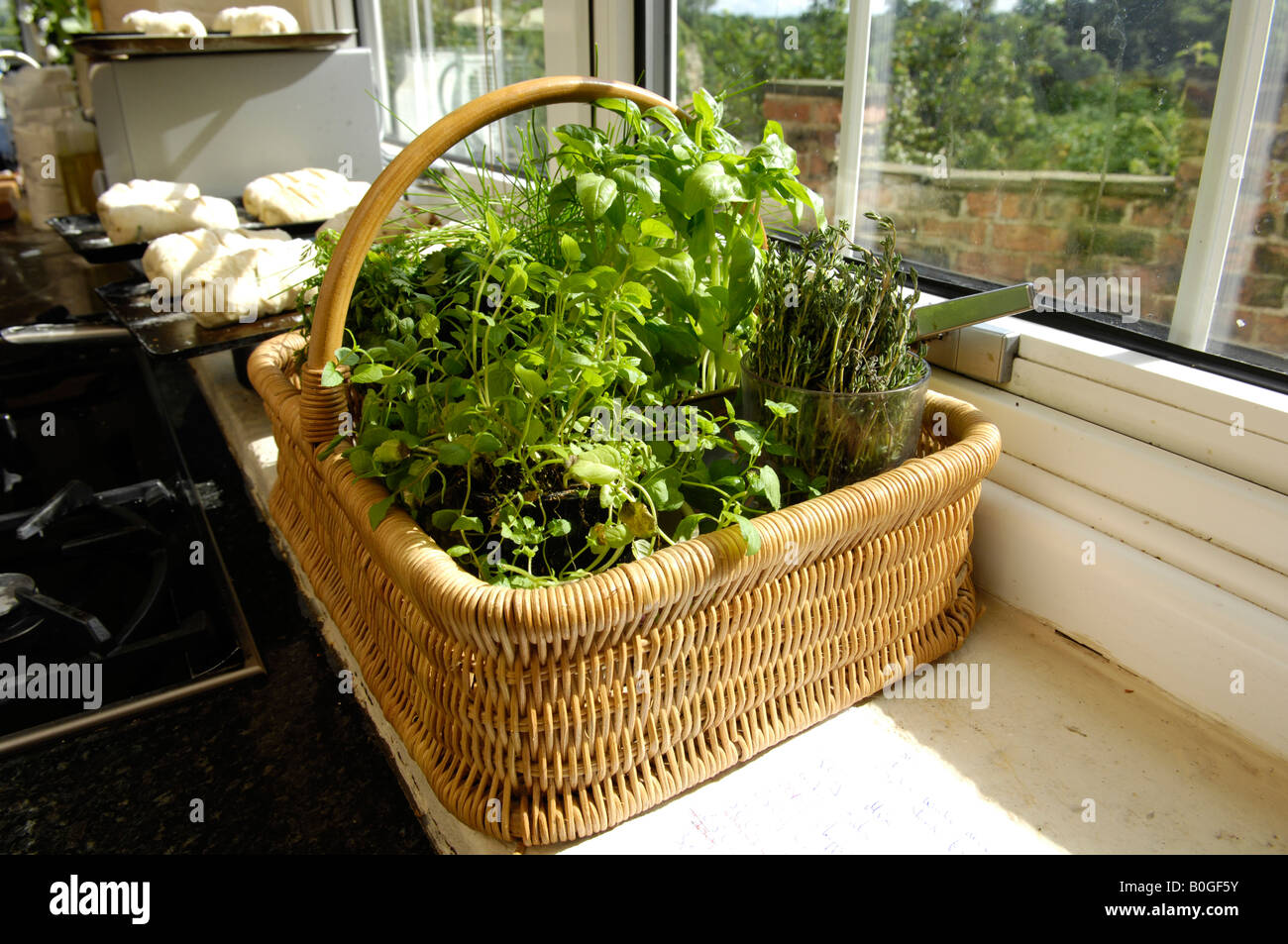 Un panier d'herbes sur une fenêtre de cuisine en Angleterre Banque D'Images