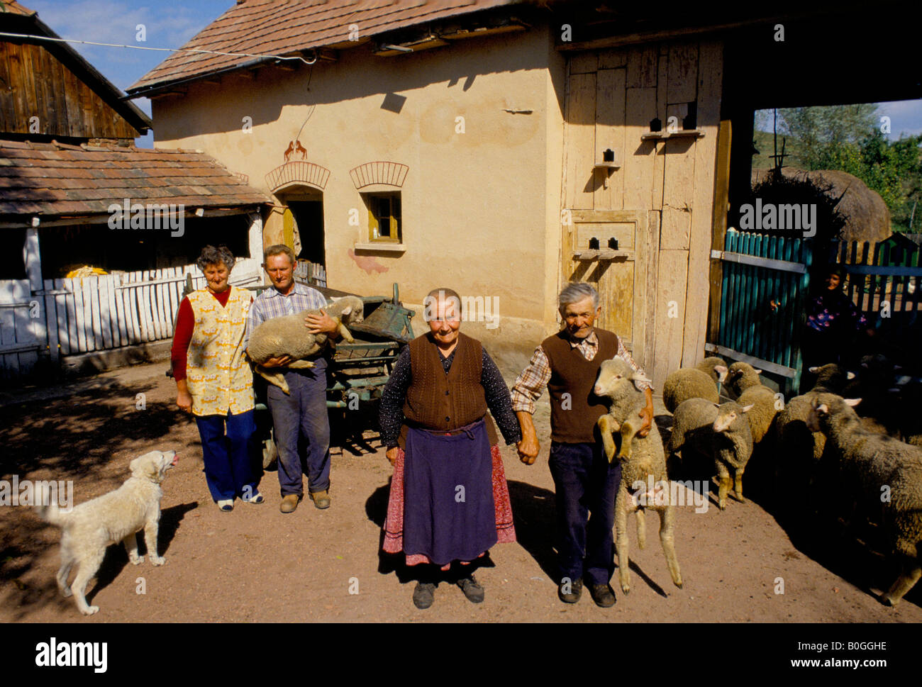 Une famille sur leur ferme, la Hongrie. Banque D'Images