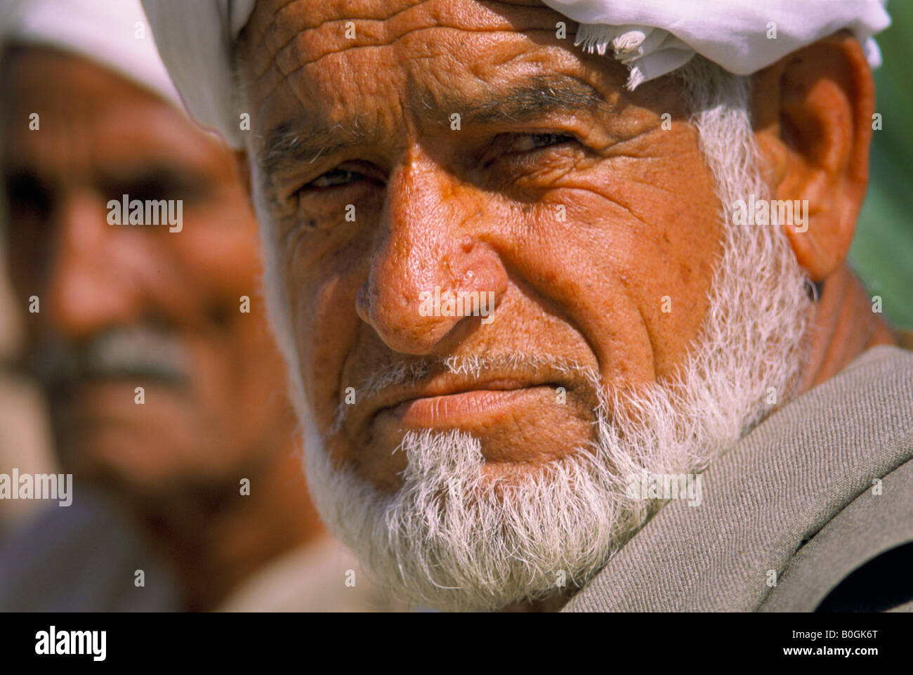 Un portrait d'un vieil homme pakistanais avec une barbe, le Pakistan. Banque D'Images