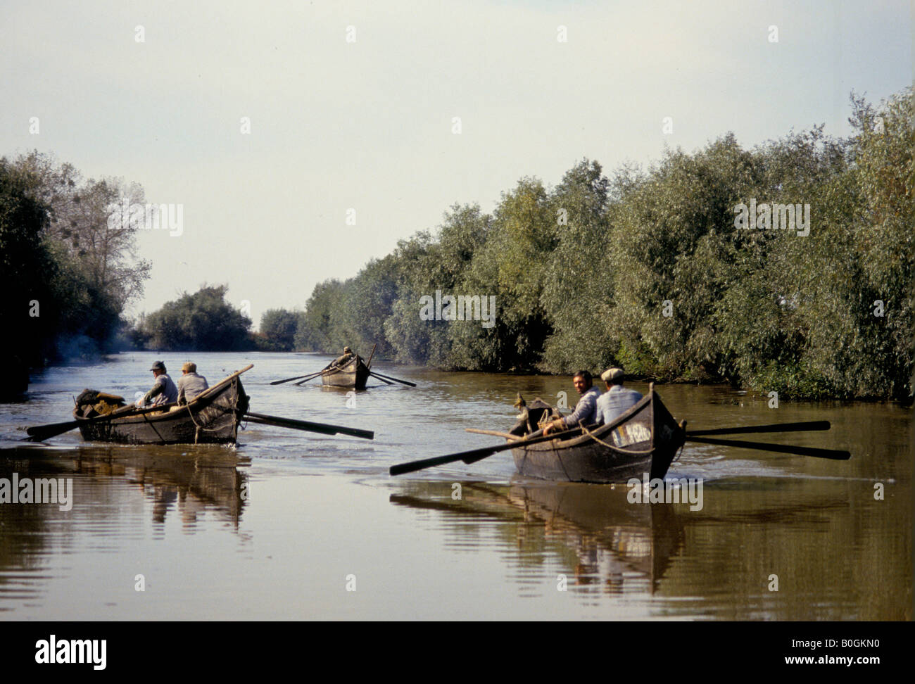 Aviron bateaux pêcheurs traditionnels en bois sur une rivière, St Gheorghe, Roumanie. Banque D'Images
