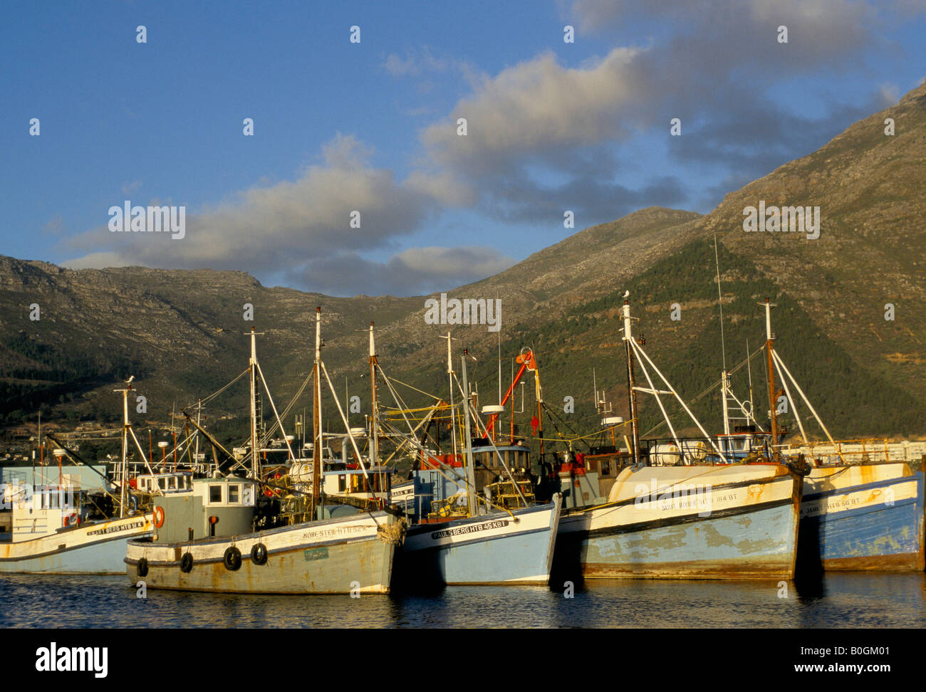 Bateaux de pêche dans le port de Hout Bay, Afrique du Sud. Banque D'Images