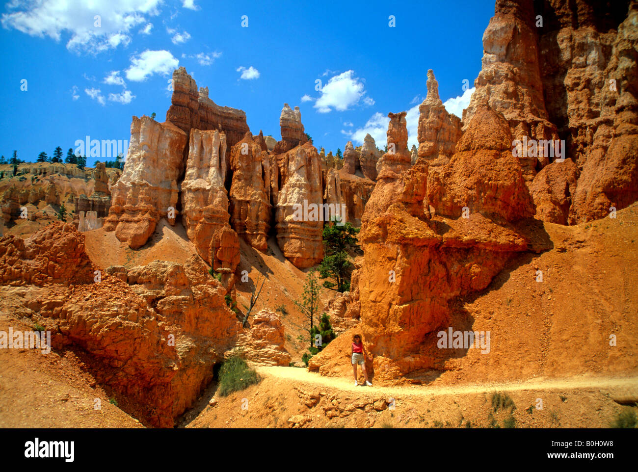 Piliers de la Reine Jardin à Bryce Canyon National Park jaune brun argile rougeâtre pierres pierre paysage panoramique du paysage de la formation Banque D'Images