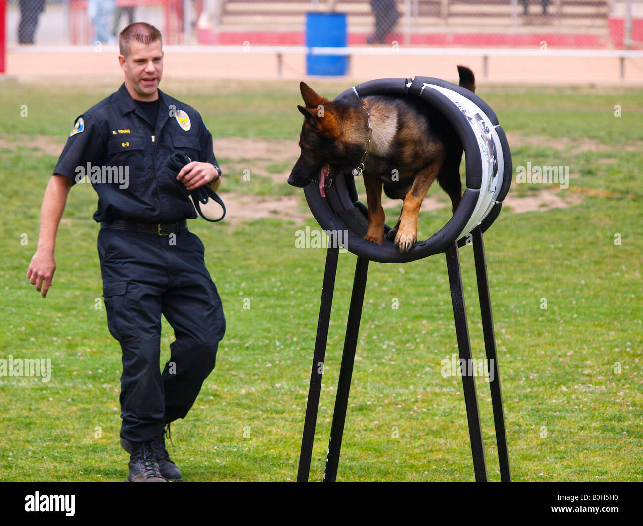 Agent de police surveille son chien le canon complet de la phase de saut k9 essais cliniques. Banque D'Images