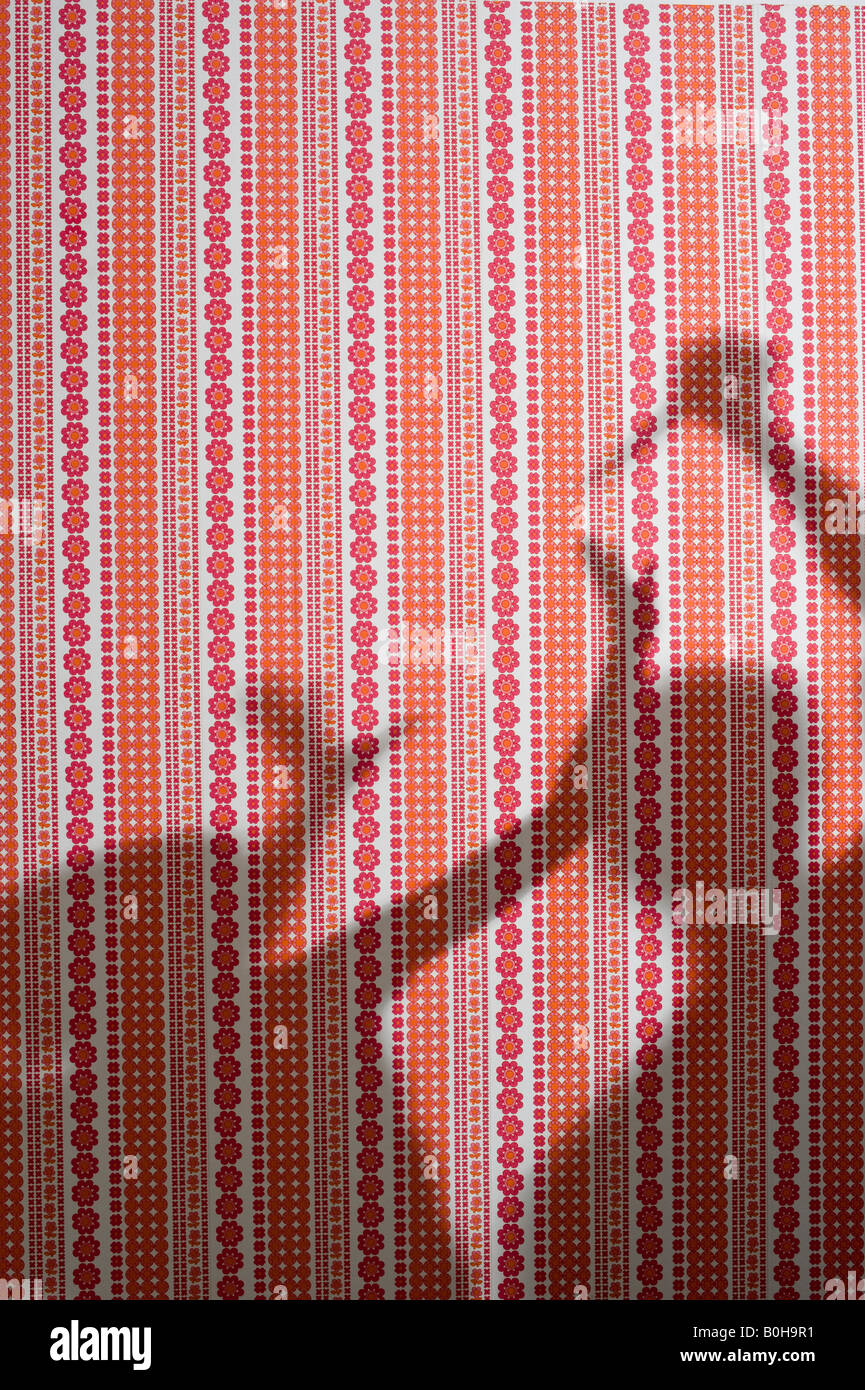 Ombre sur le papier peint, les gens violents combats, scène, poignarder Banque D'Images