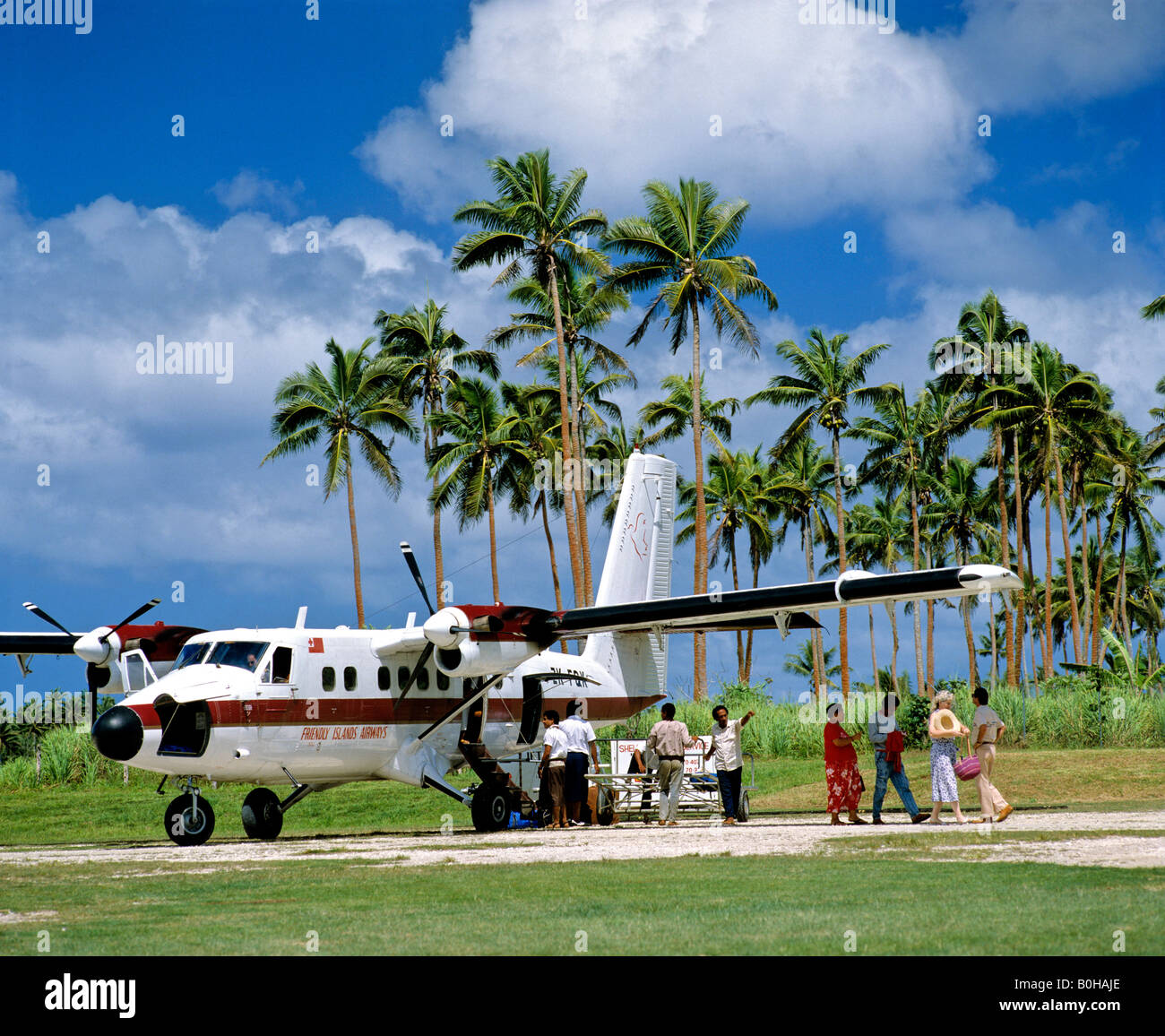 L'aéroport, Friendly Islands Airways, palmiers, Tonga, Pacifique Sud, l'Océanie Banque D'Images