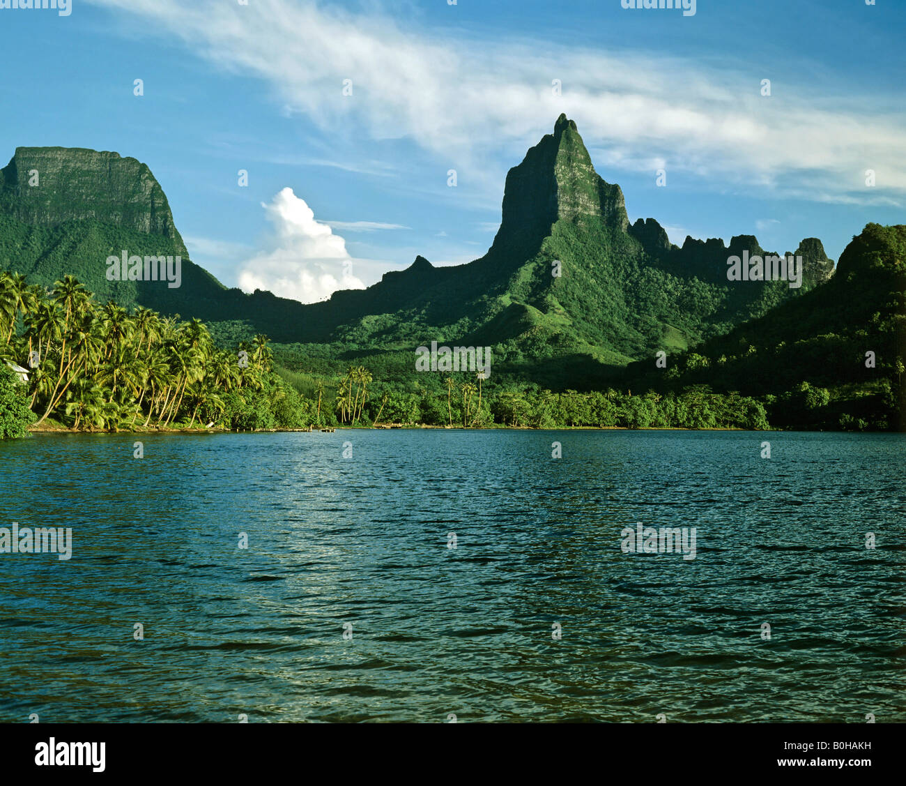 La baie de Cook ou Paopao, Mt. Mouaroa, Moorea, îles de la société, Polynésie Française, Océanie, Pacifique Sud Banque D'Images