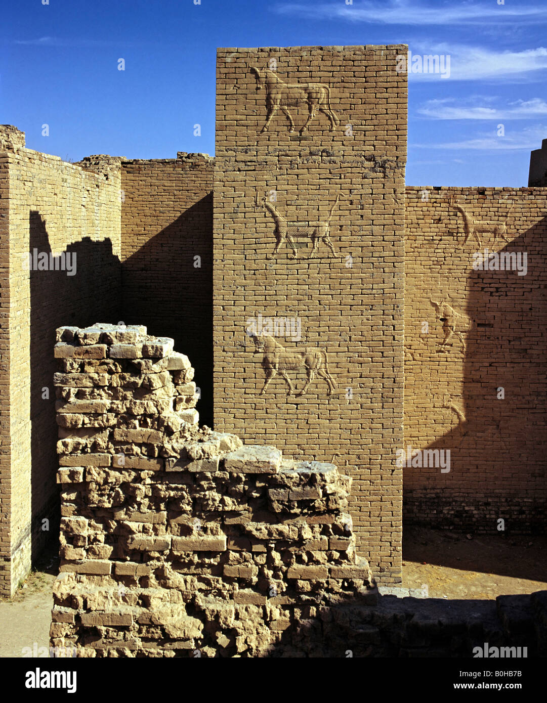 Relief sur un mur de briques, les ruines de Babylone, Iraq, Middle East Banque D'Images