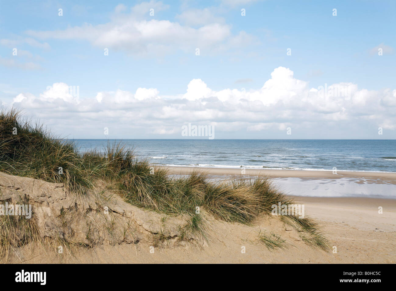 Dunes de sable le long de la côte de la mer du Nord, Zoutelande, Walcheren, Zélande, Pays-Bas Banque D'Images