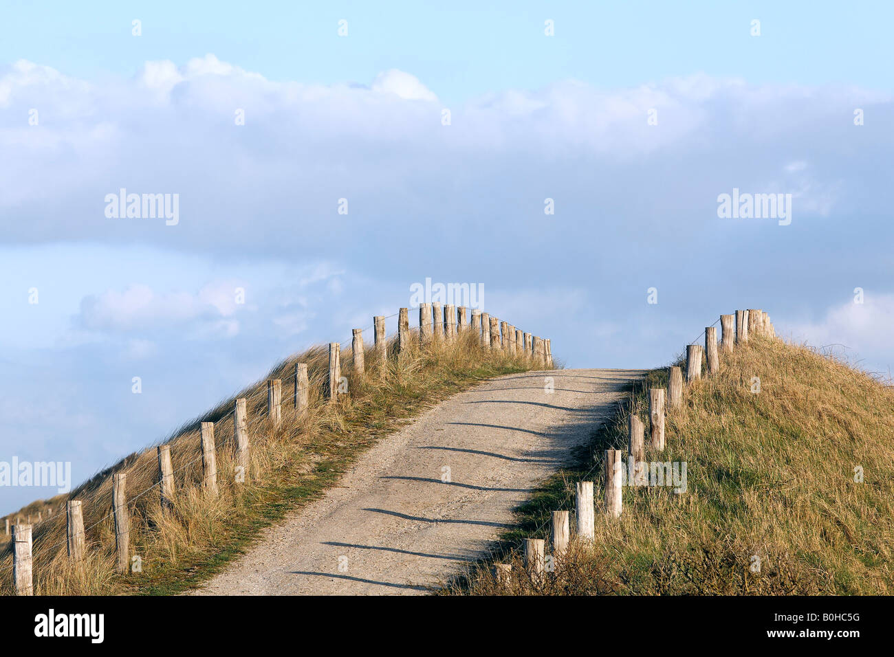 Chemin de l'herbe couverte de dunes près de Zoutelande, Walcheren, Zélande, Pays-Bas Banque D'Images