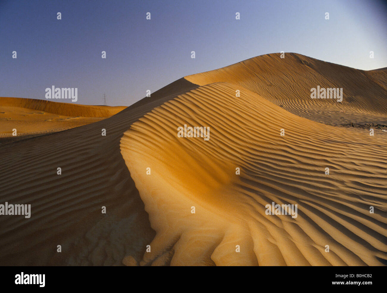 Dunes de sable dans le désert à Al Ain, Émirats arabes unis. Banque D'Images