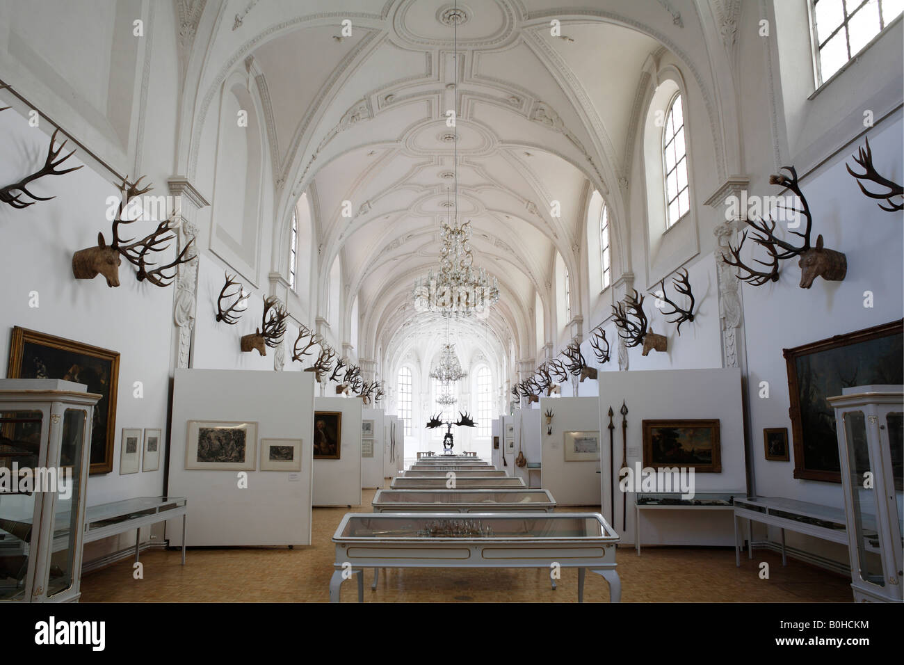 White Hall, Deutsches Jagd- und Fischereimuseum, Musée allemand de la chasse et de la pêche dans l'ancienne église Augustinerkirche, Munic Banque D'Images