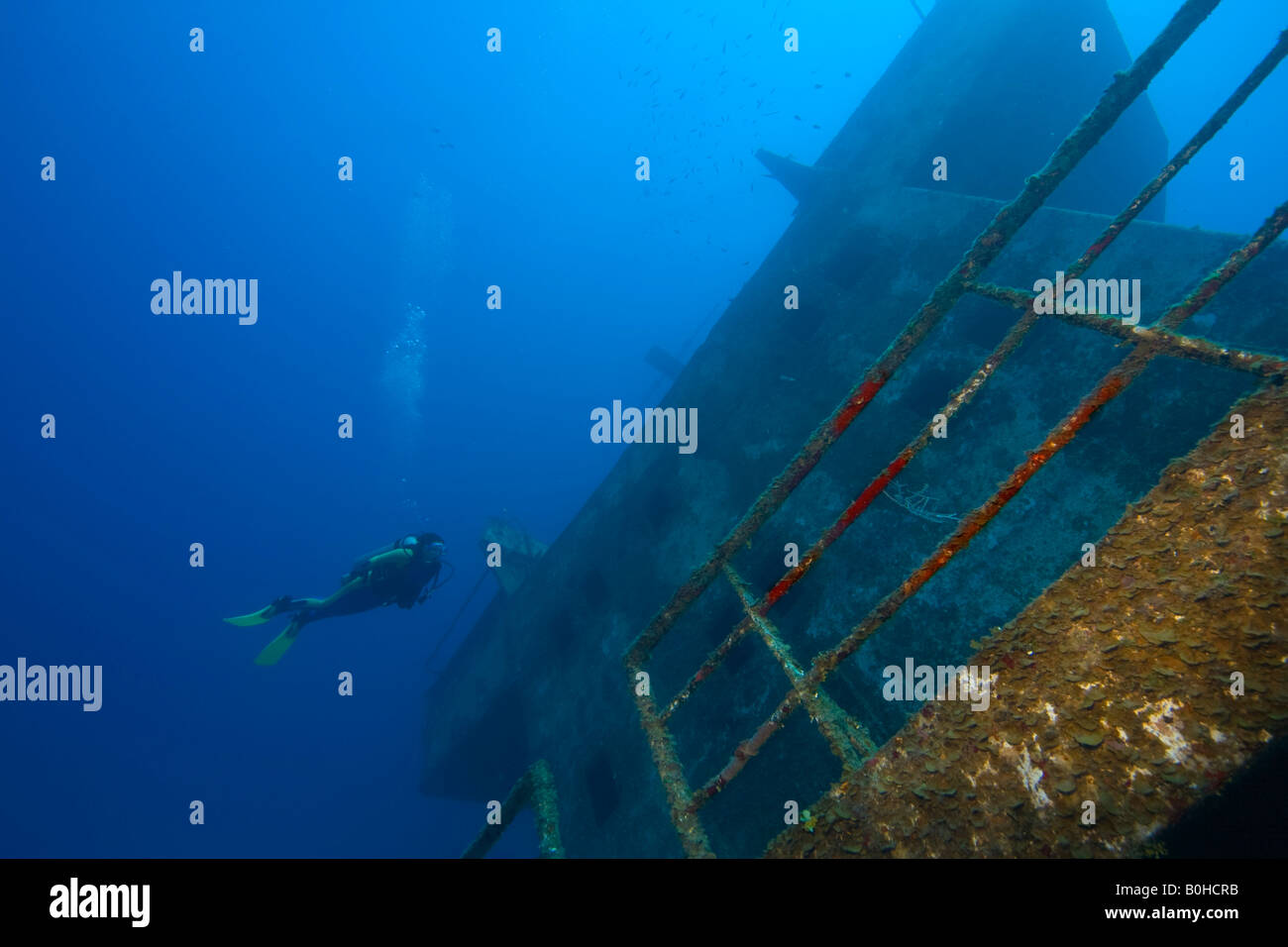Odyssey Naufrage, 91 mètres, coulé en 2002 pour servir d'attraction touristique pour les amateurs de plongée sous-marine, Roatan, Honduras, Amérique Centrale Banque D'Images