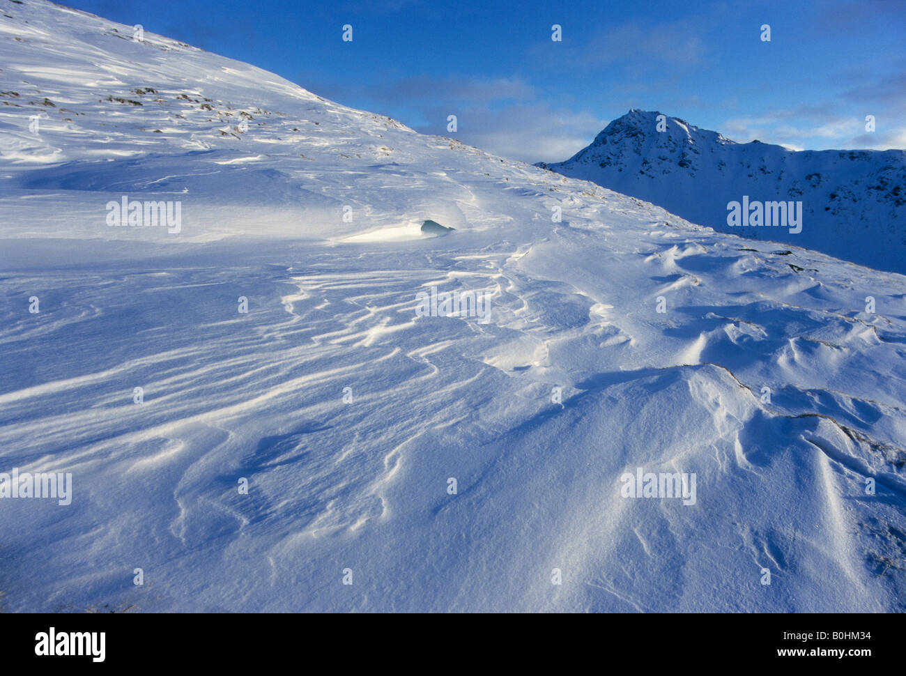 Champ de neige, neige, zastrugi sastrugi, Tux, Alpes, Tyrol, Autriche, Europe Banque D'Images