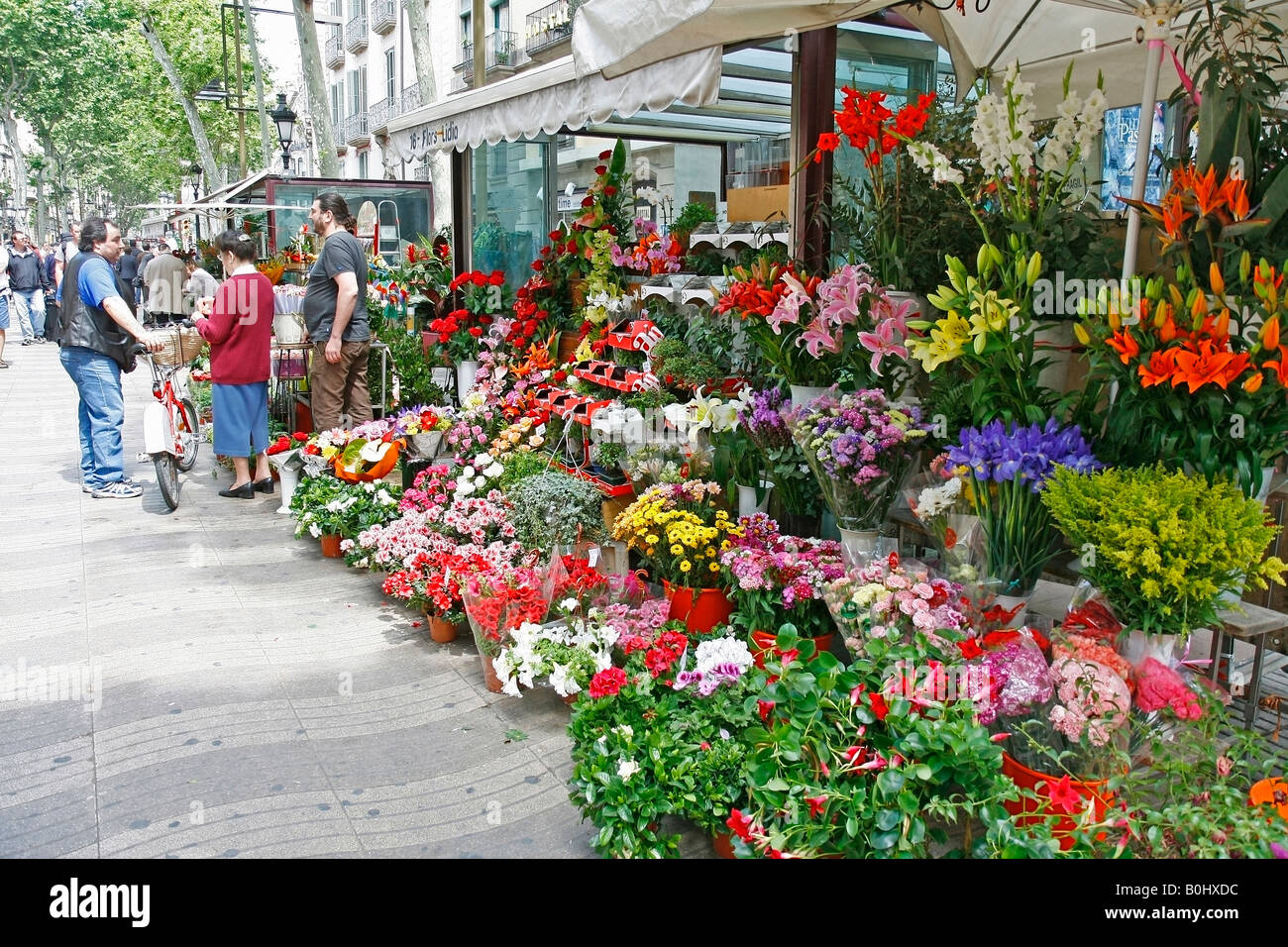 Tirage Albuminé Vintage - Barcelona, Rambla De Las Flores, Vers 1880 - Format 15x20 Cm