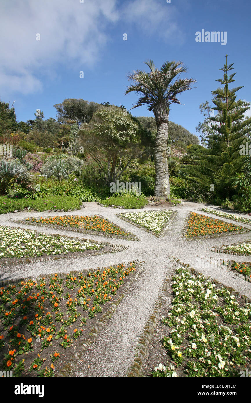 Jardins de l'abbaye de Tresco, Tresco, Îles Scilly, UK Banque D'Images