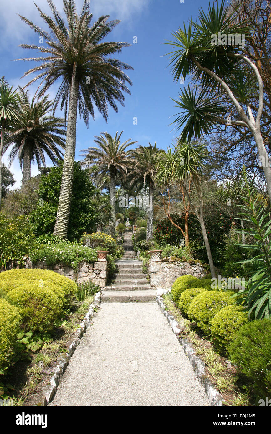 Jardins de l'abbaye de Tresco, Tresco, Îles Scilly, UK Banque D'Images