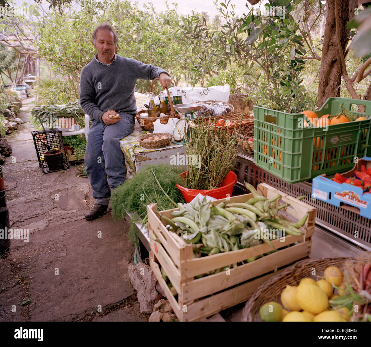 Homme siciliennes locales vend ses produits d'accueil de son jardin Scopello Sicile Italie EU Banque D'Images