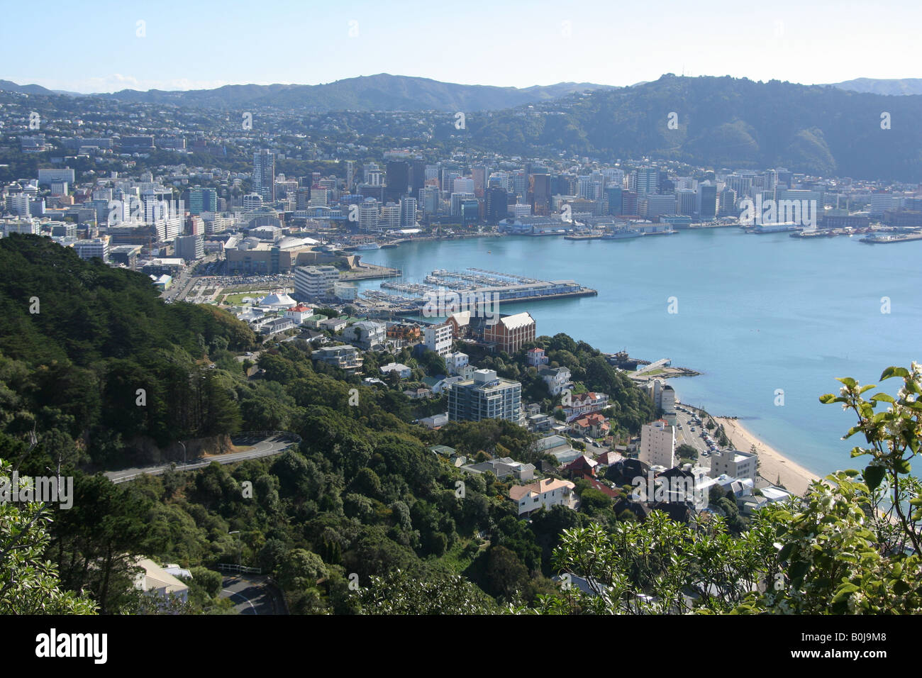 Quartier des affaires de la ville de Wellington vu de Mt Victoria Lookout. Banque D'Images