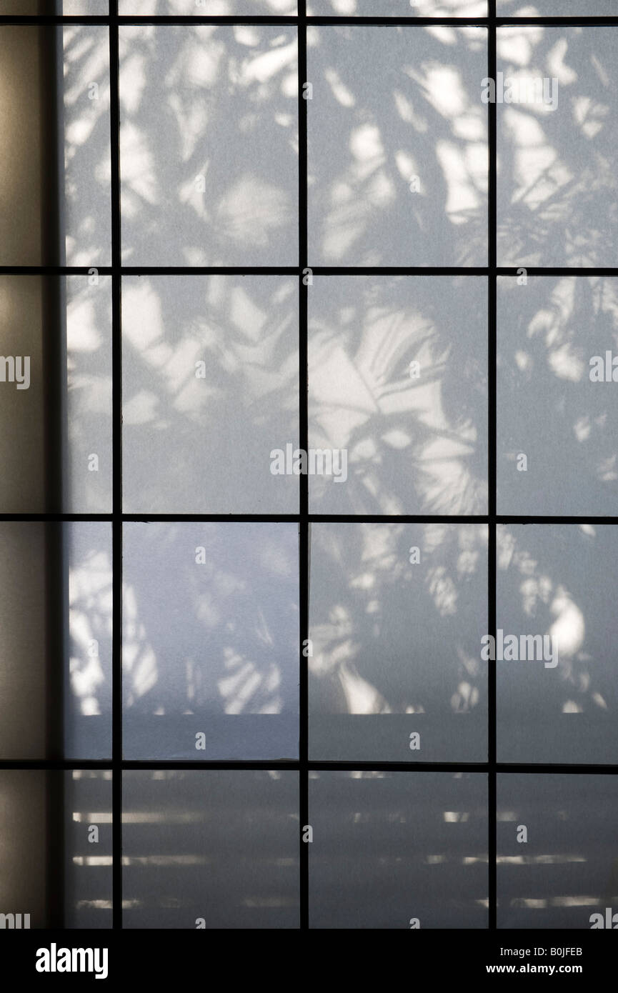 Tokyo, Japon. Feuille de bambou ombres sur un écran de la fenêtre papier coulissant (shoji) tôt le matin Banque D'Images