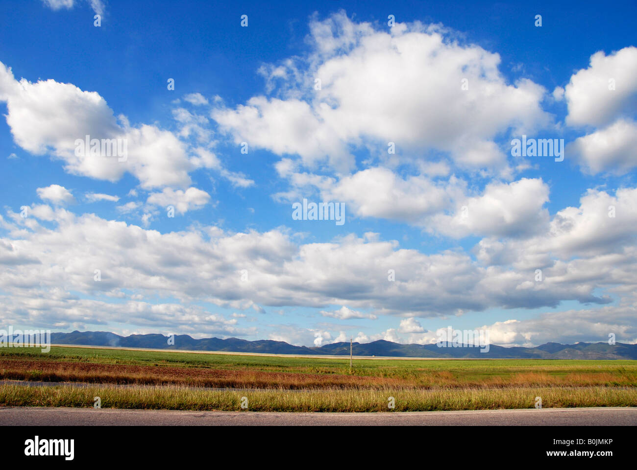 Campagne cubaine cuba Banque D'Images