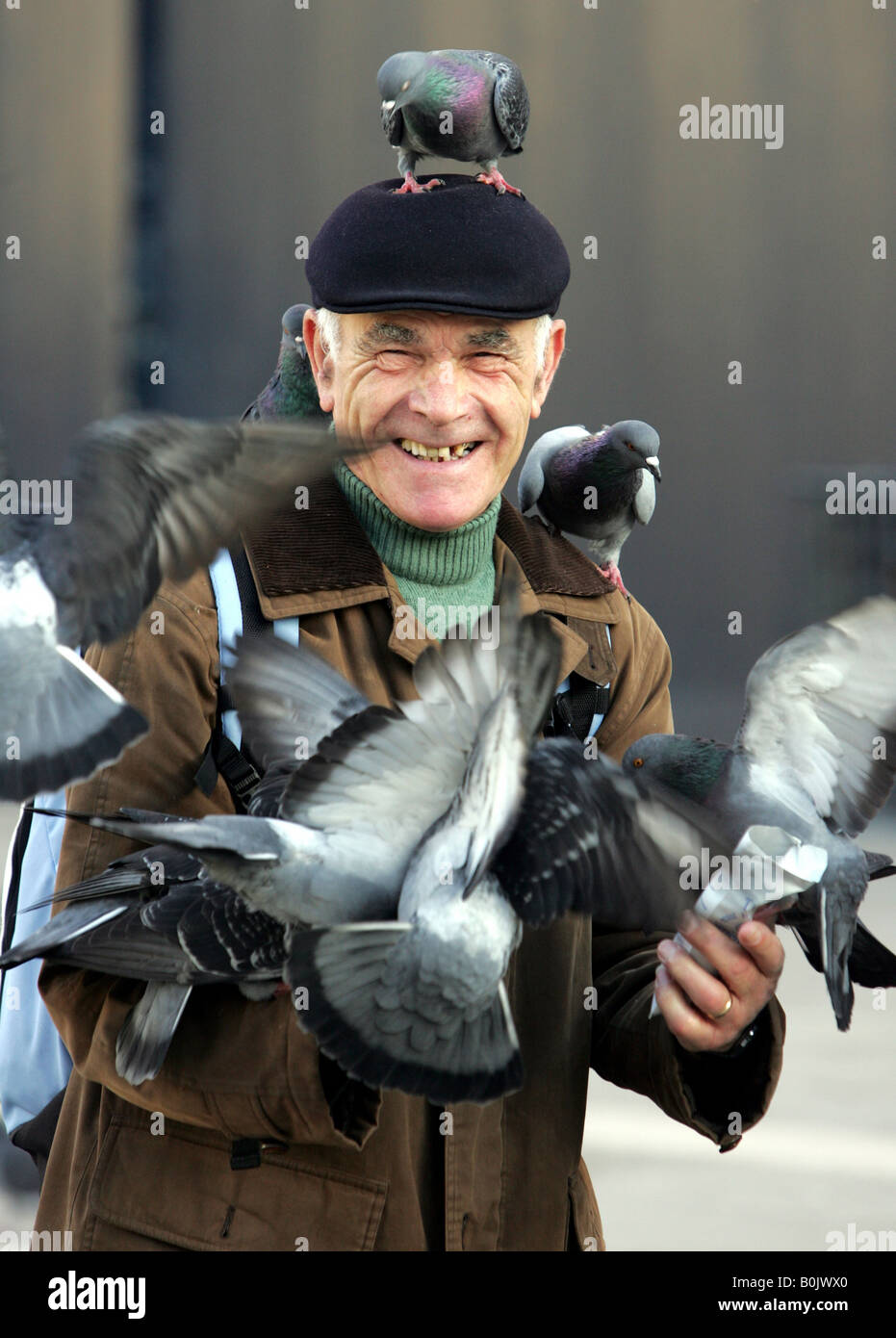 Un homme rit comme il nourrit les pigeons à Venise Banque D'Images