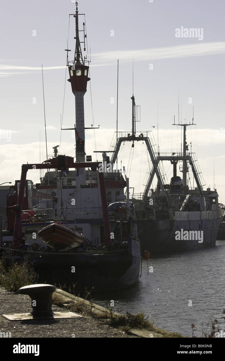 Les chalutiers de pêche tôt le matin la lumière à Grimsby docks, Grimsby, England, Royaume-Uni Banque D'Images