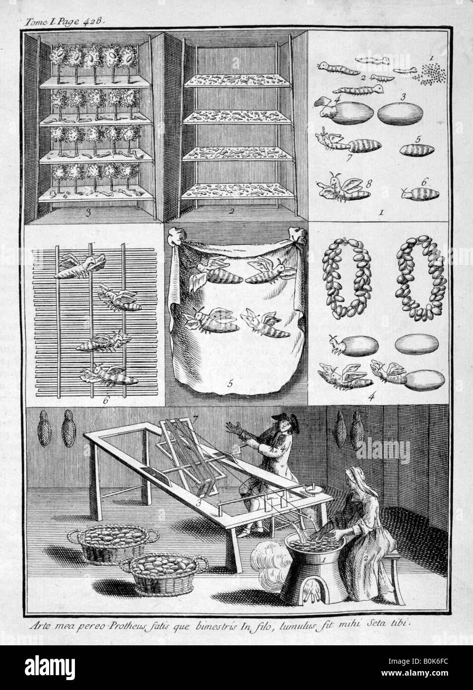 L'élevage de vers à soie, 1775. Artiste : Inconnu Banque D'Images