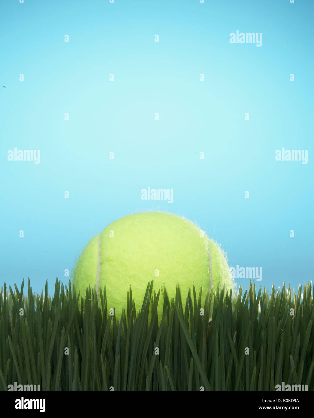 Balle de tennis sur l'herbe Banque D'Images