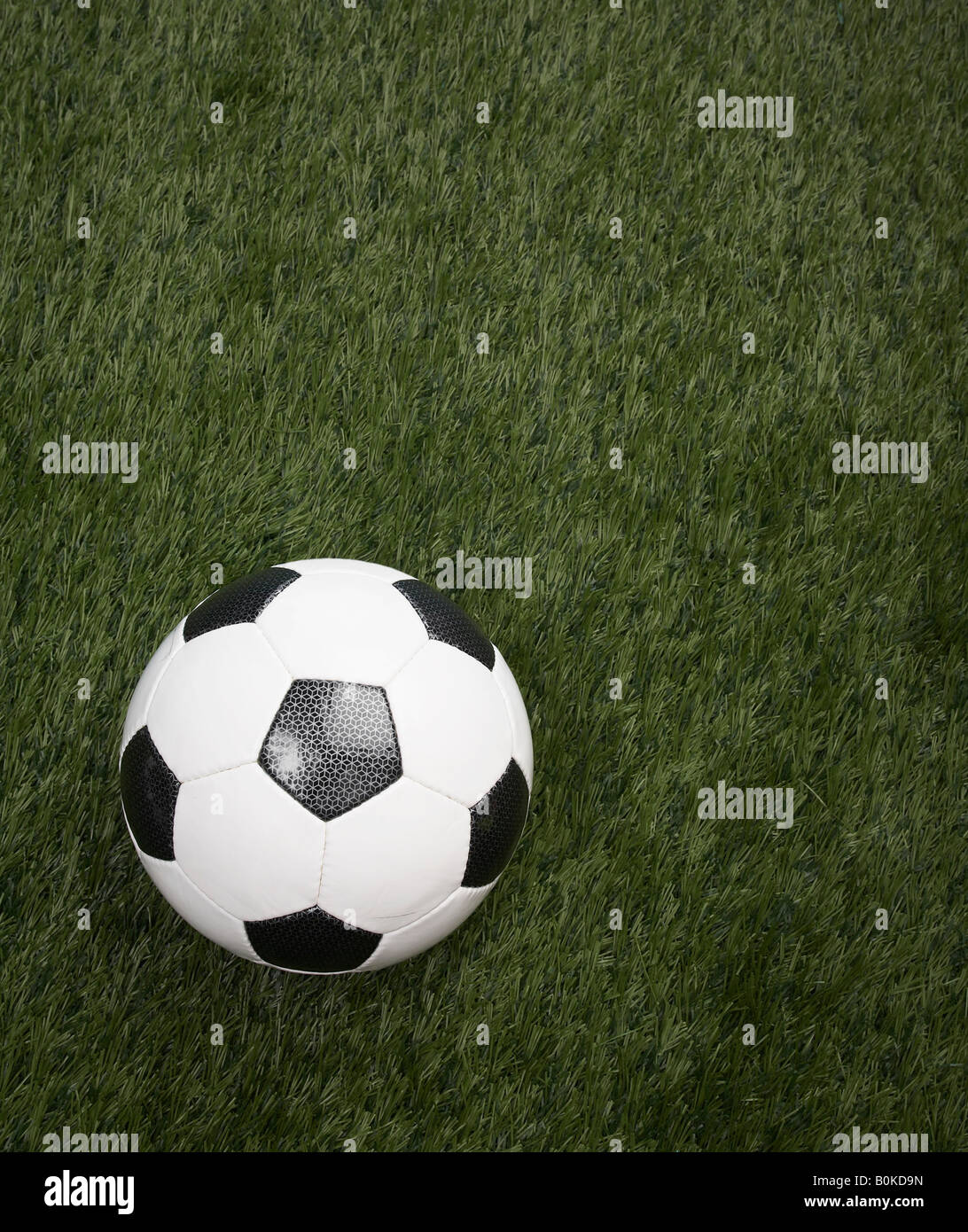 Soccer Ball on Grass Banque D'Images