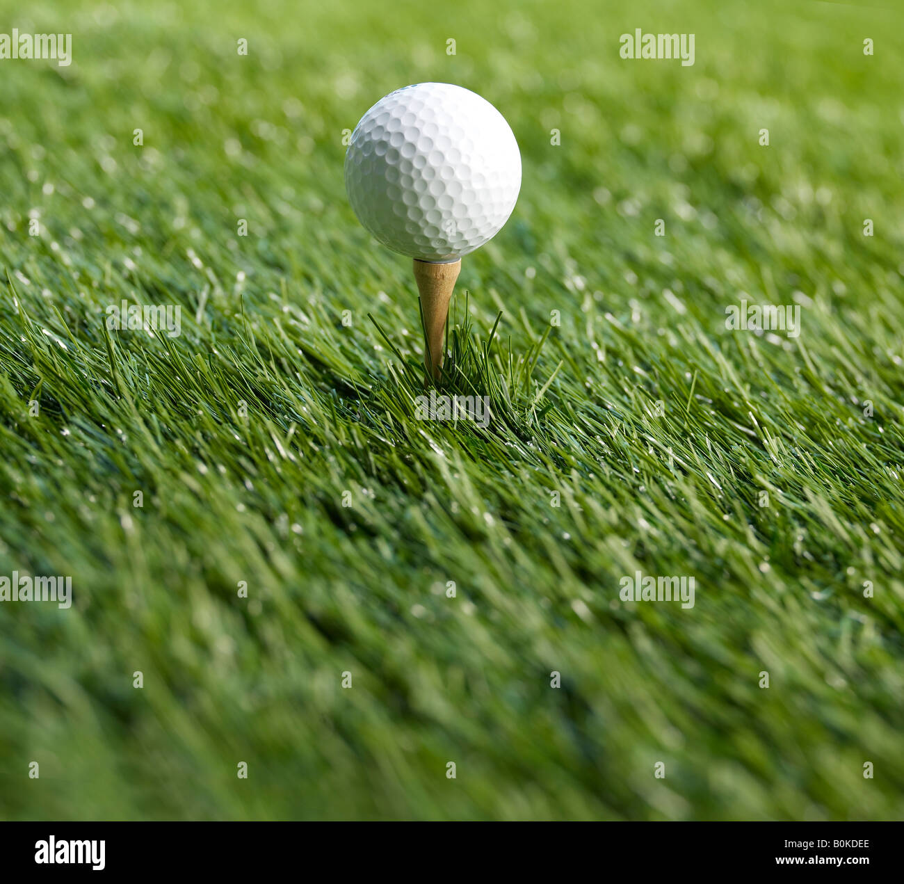 Balle de Golf sur Tee Banque D'Images