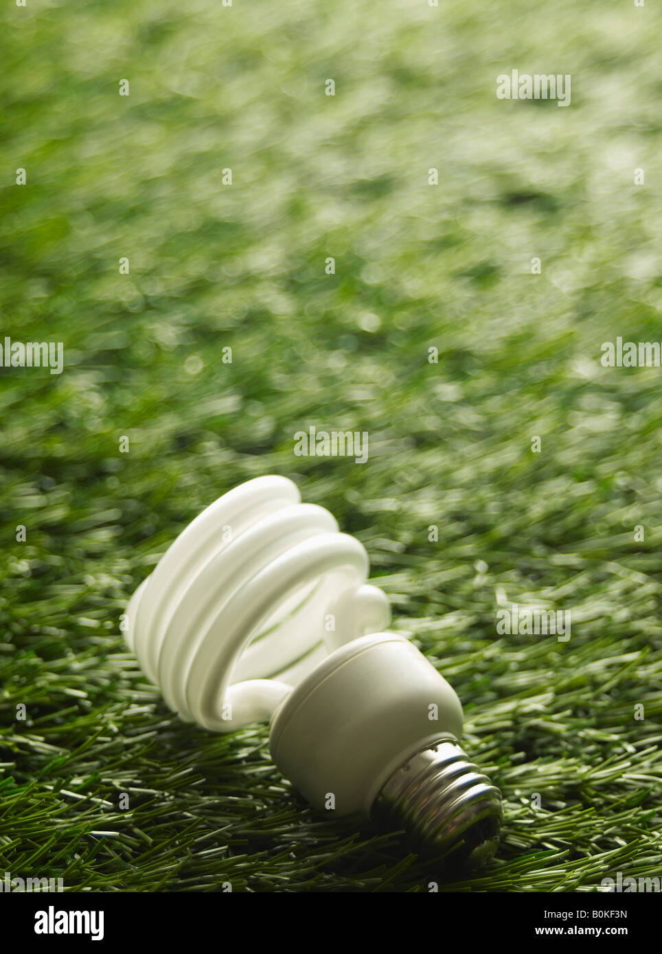 Lifebulb d'économie d'énergie sur l'herbe Banque D'Images
