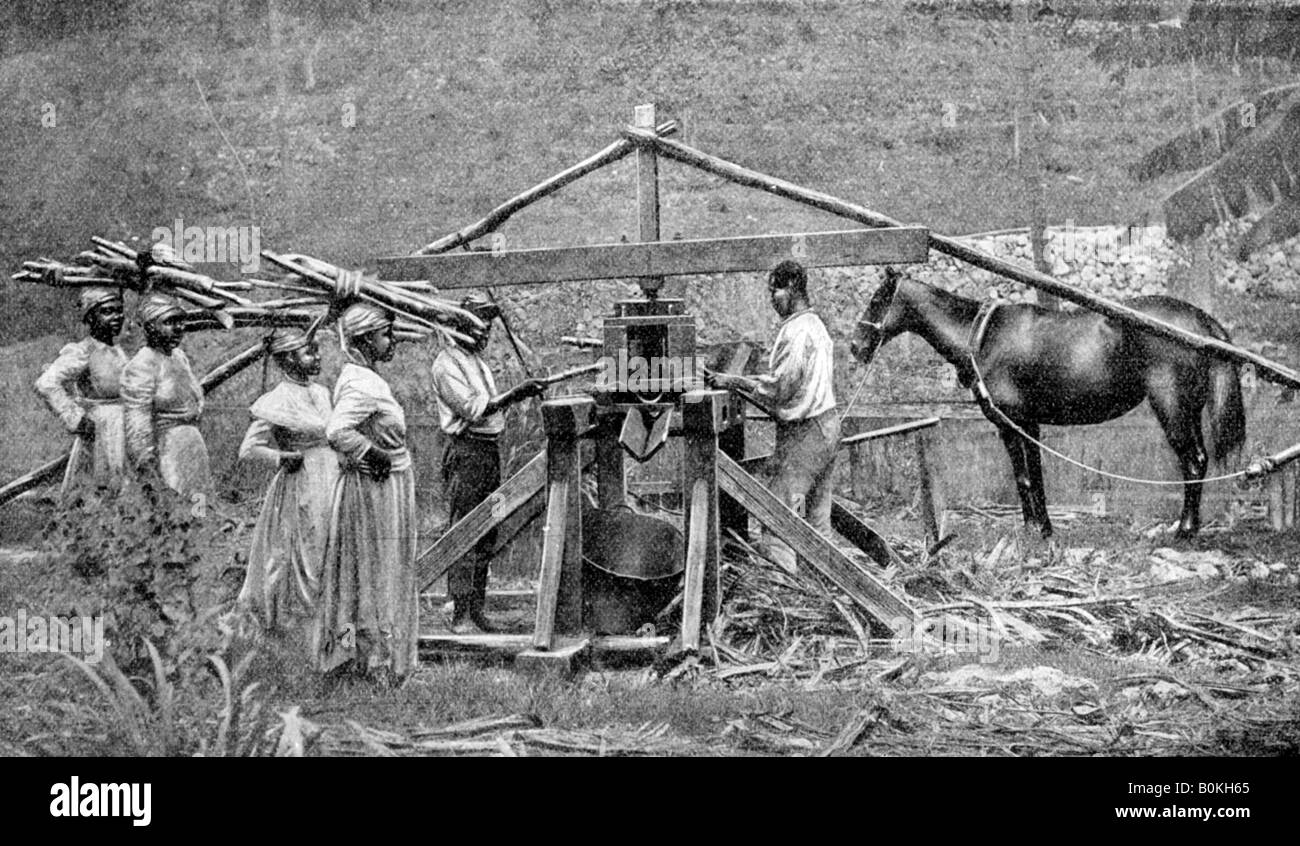 Un en bois, l'usine de broyage de canne powered suger, Antilles, 1922. Artiste : Inconnu Banque D'Images