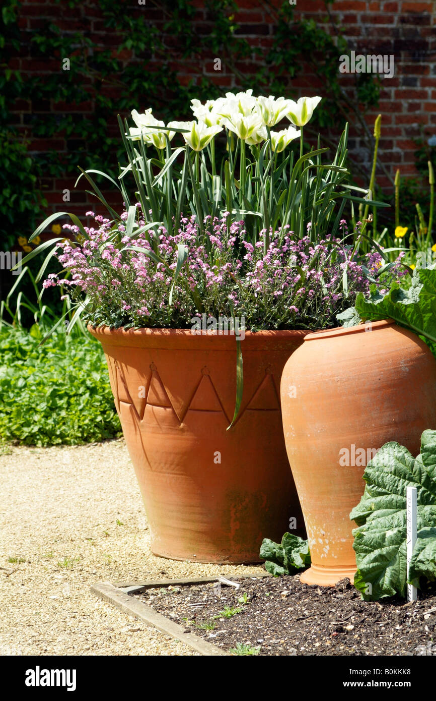 Jardin de fleurs et de fruits murs à Osborne House East Cowes, île de Wight, Angleterre Banque D'Images