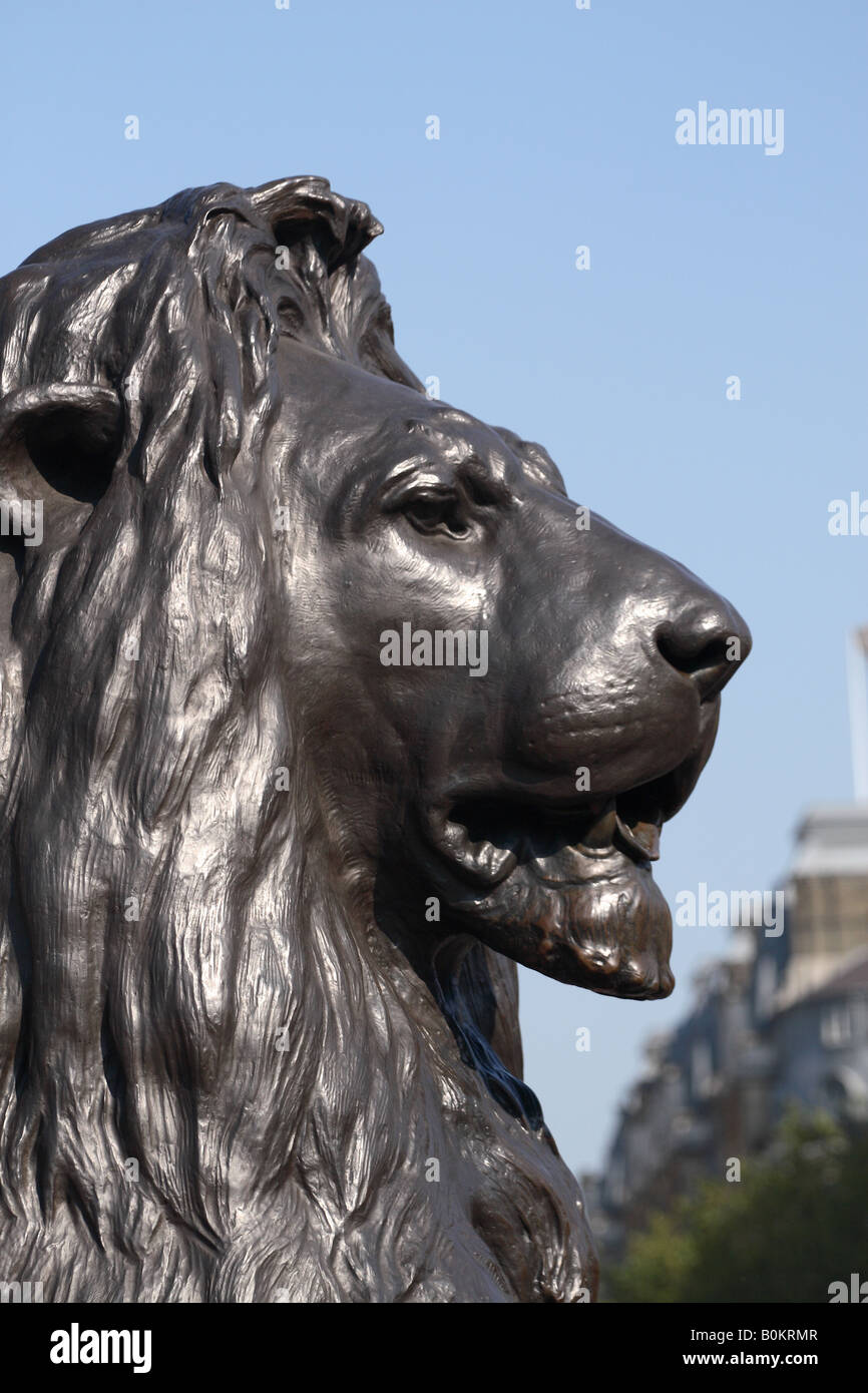 Trafalgar Square Londres lion sculpture par Sir Edwin Landseer Banque D'Images