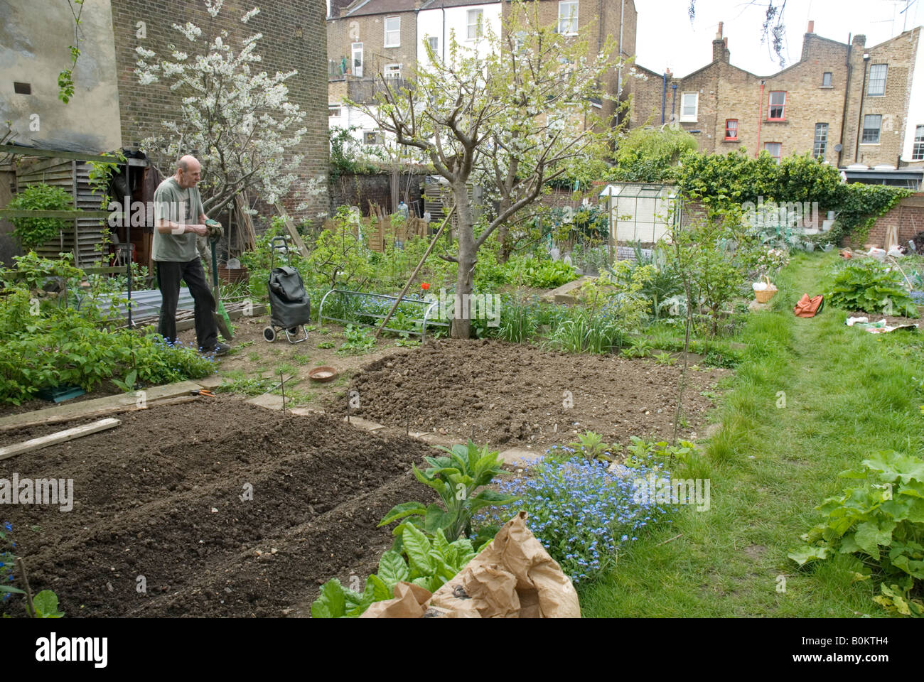 Petite bio de Londres jusqu'à la terre avec allotissement champs de pommes de terre et d'arbres fruitiers Banque D'Images
