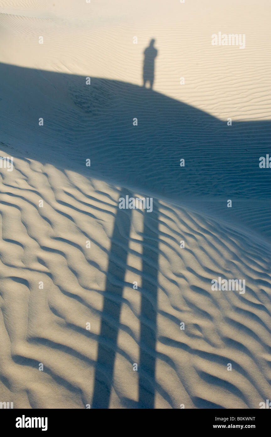 Mexique, Baja California, dunes de sable sur Magdalena Bay, Sunset Banque D'Images