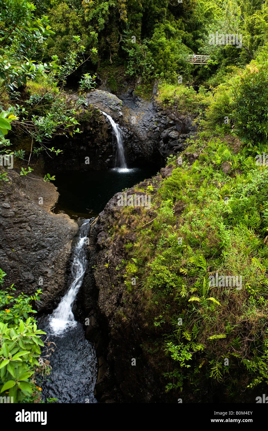 Chutes d'eau à plusieurs niveaux le long d'une première randonnée sur Maui près du Sacré 7 piscines extérieures menant à la forêts de bambou. Banque D'Images