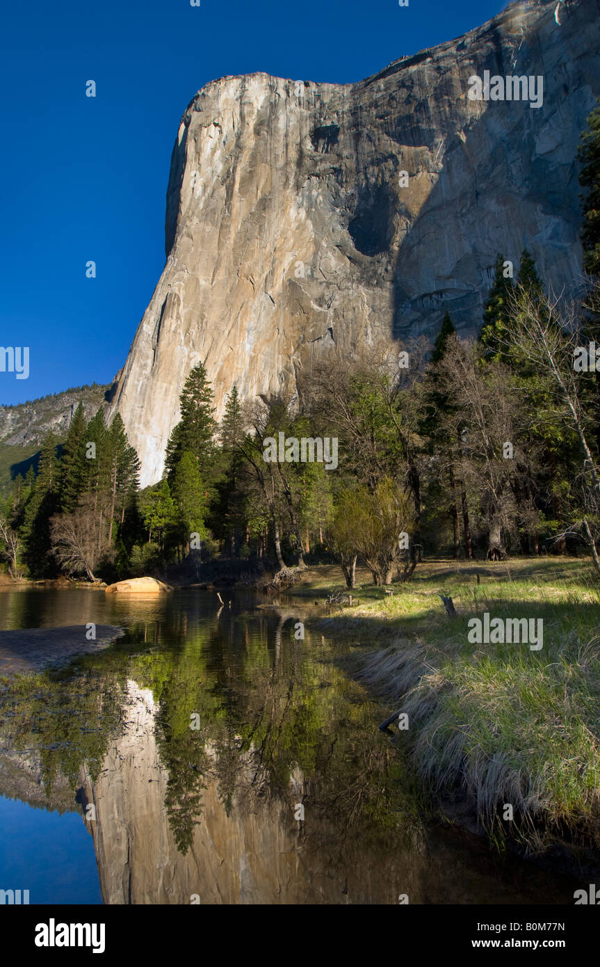 El Capitan au-dessus de la rivière Merced Yosemite Valley Yosemite National Park California Banque D'Images