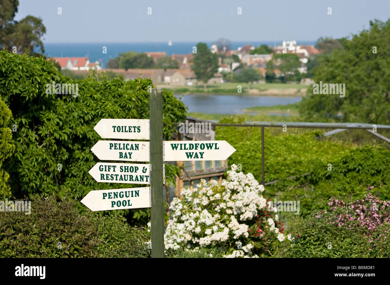 Panneaux d'information au parc Flamingo, île de Wight au printemps. Le Solent est en arrière-plan Banque D'Images