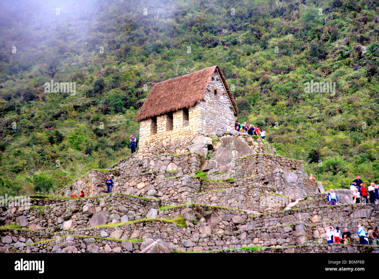 Machu Picchu Les gardiens Chambre Secteur agricole de la vallée de la rivière Urubamba Ville Perdue Andes Pérou Amérique du Sud Banque D'Images