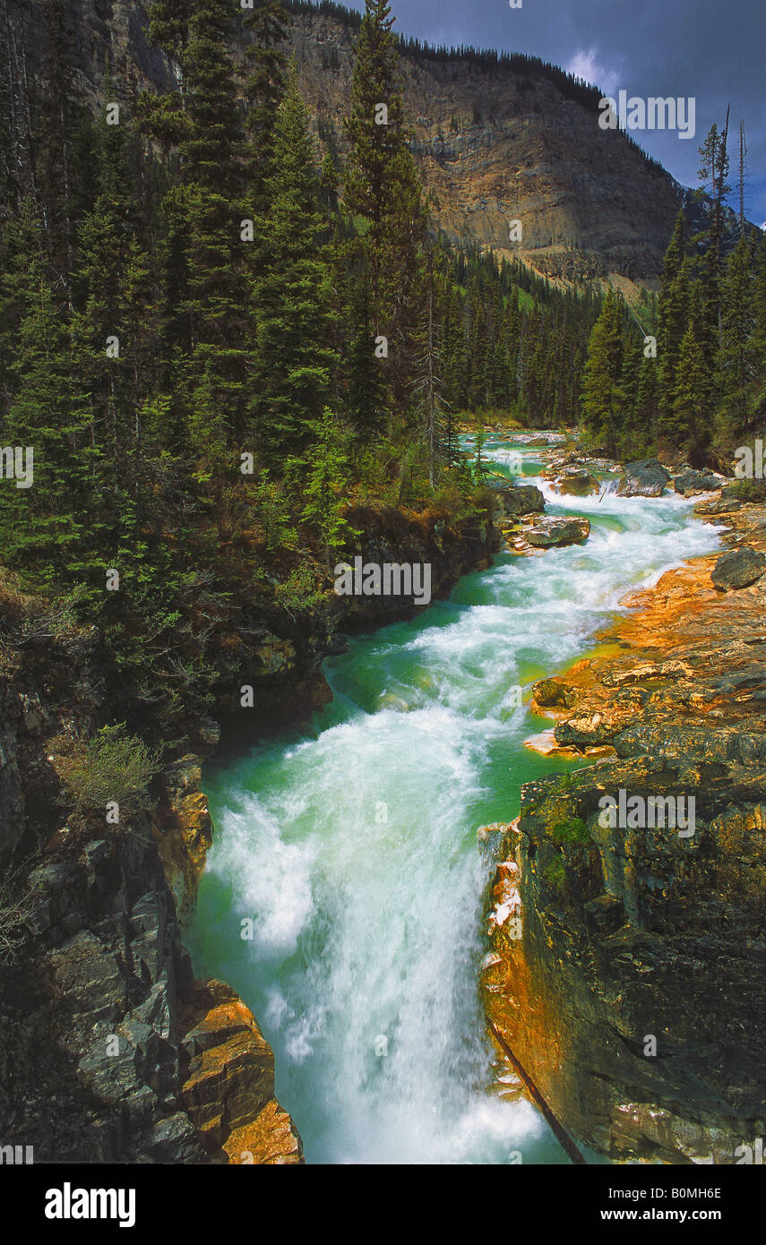 Rivière qui coule avec des montagnes en arrière-plan du parc national de Banff, Alberta, Canada Banque D'Images