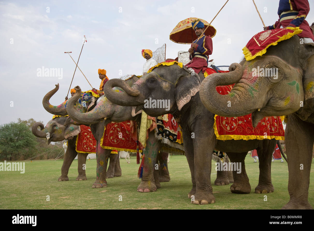 La décoration peinte aux couleurs vives des éléphants et des cornacs lineup pour cérémonies d'ouverture d'un match de polo d'éléphants dans le Rajasthan en Inde Banque D'Images