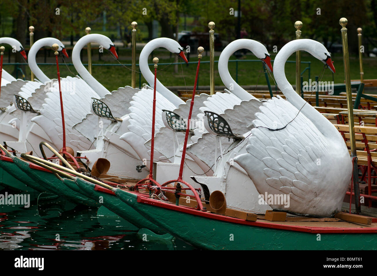 La célèbre swan boats dans les jardins publics de Boston ma. Banque D'Images