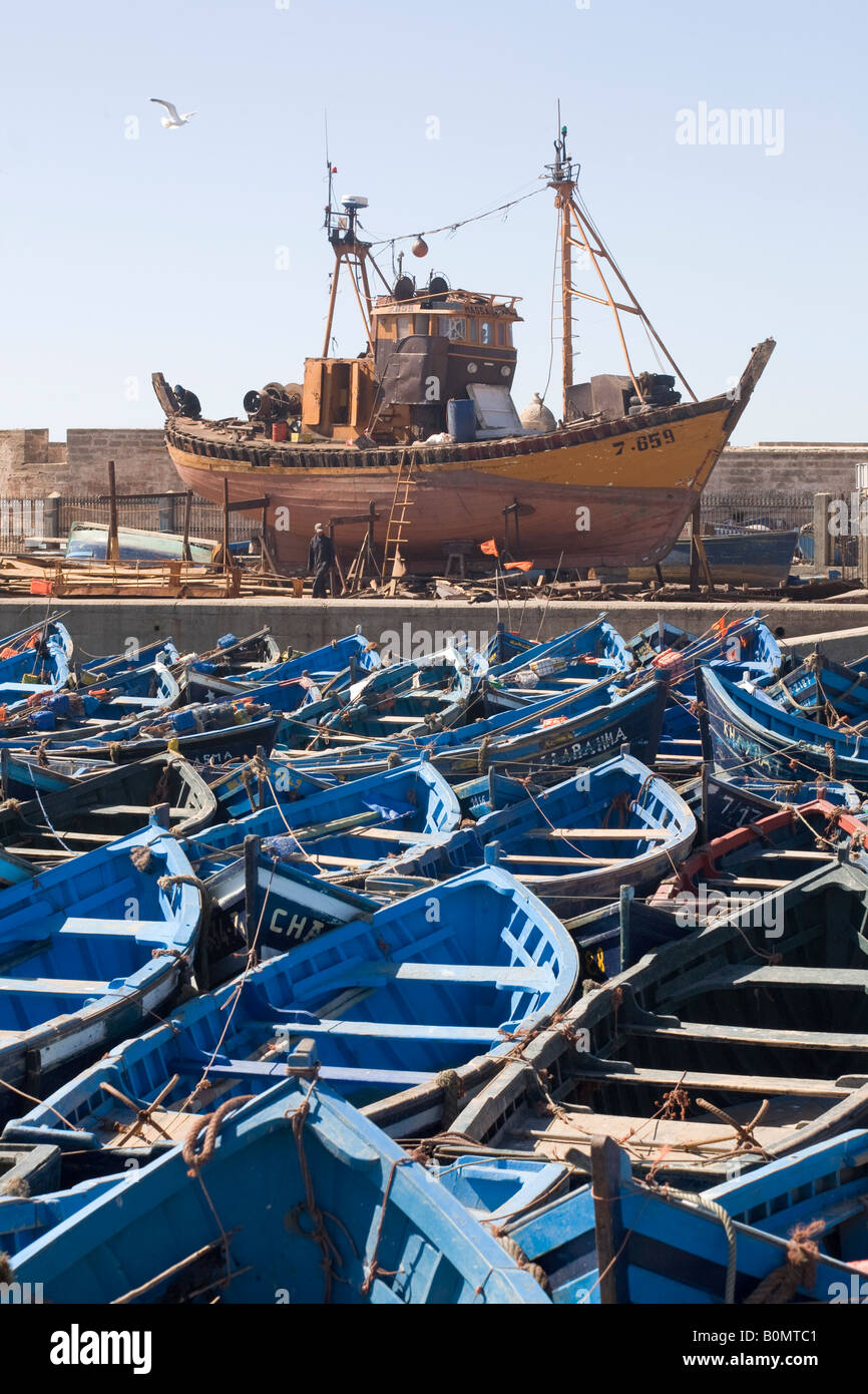 Les bateaux de pêche. Le port d'Essaouira, Maroc Banque D'Images