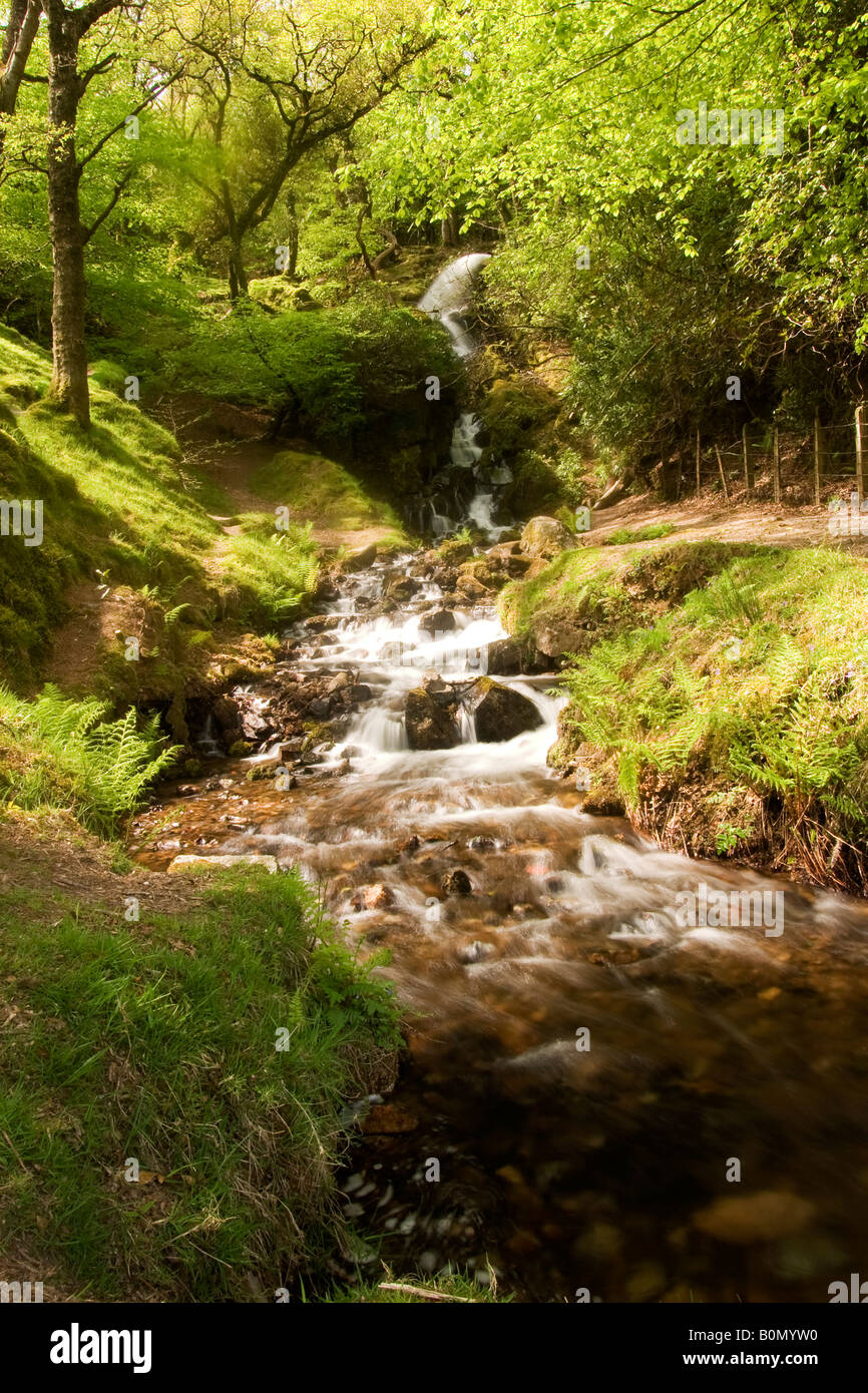 Un tuyau d'écoulement de l'eau d'alimentation de la lande vers réservoir Burrator Banque D'Images