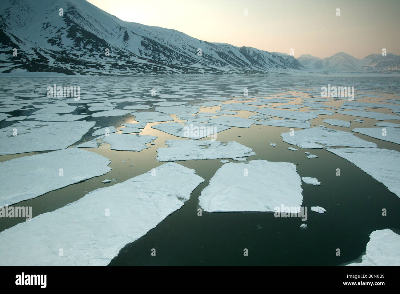 Flocons de glace en Billefjorden à Monte Carlo, région, la Norvège. Banque D'Images