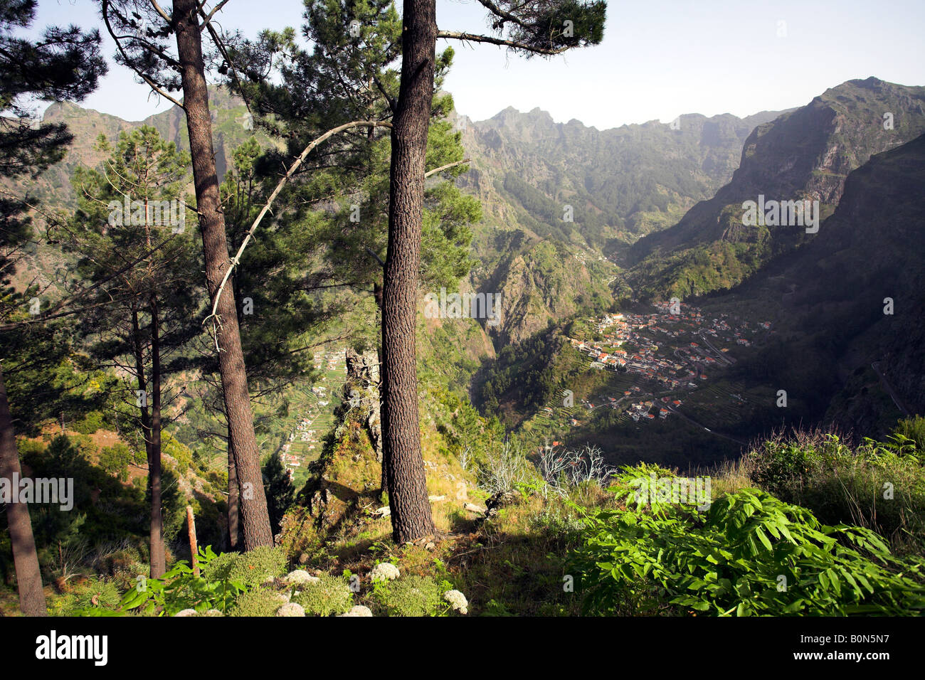 Curral das Freiras vus de Eira do Serrado viewpoint Banque D'Images