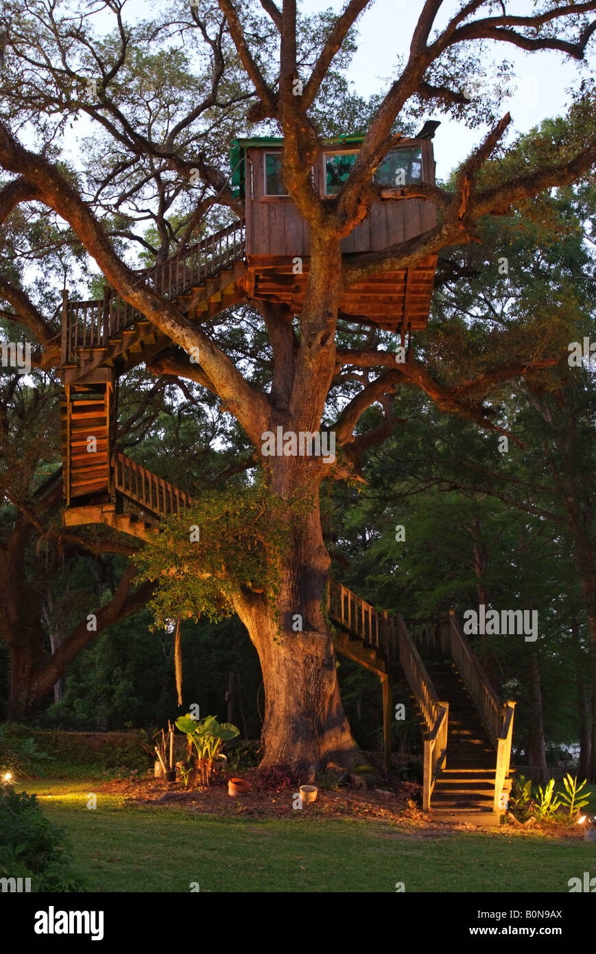 Grand treehouse dans un vieux chêne à St Martinsville Louisiane USA Banque D'Images
